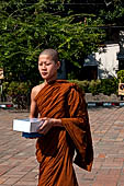 Chiang Mai - The Wat Chedi Luang, novice monk.